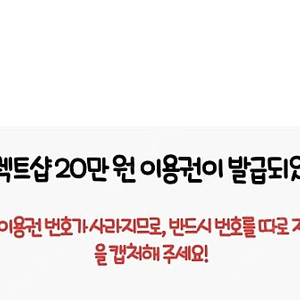 티다이렉트 20만원할인쿠폰 팝니다