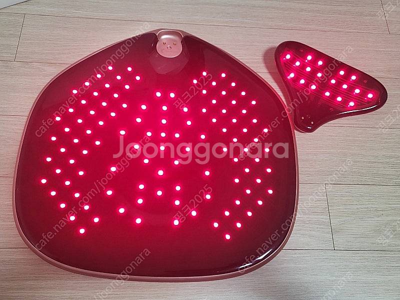 셀리턴 웨어로즈 LED 원적외선 좌욕Y존관리--6