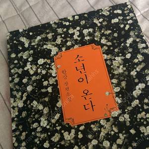 소년이온다, 쇼코의 미소 (중상)