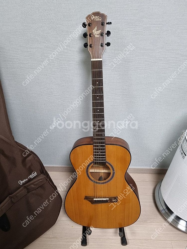 고퍼우드 i-210 탑솔리드기타--0