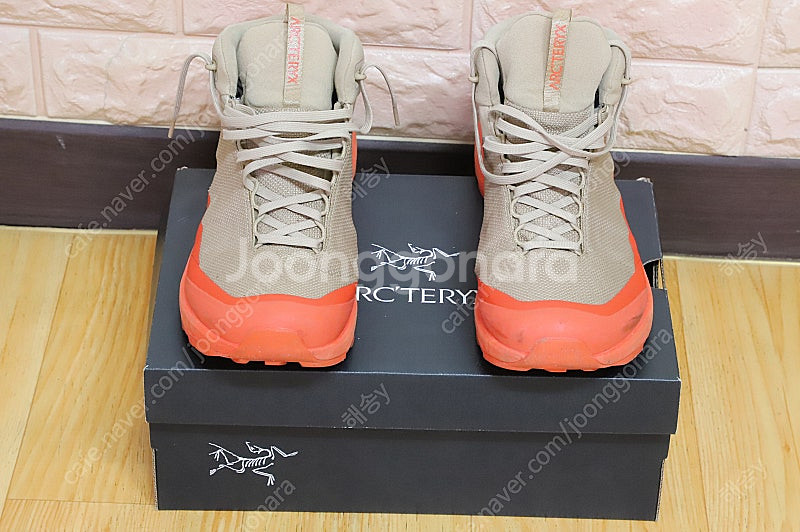 Arc'teryx Aerios FL 2 Mid GTX ...--0