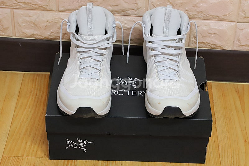 Arc'teryx Aerios FL2 Mid GTX(아...--0
