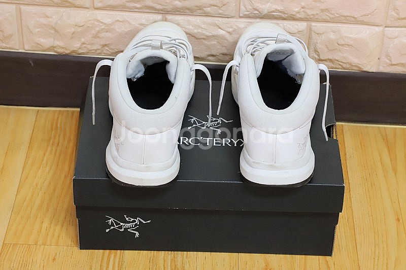 Arc'teryx Aerios FL2 Mid GTX(아...--1