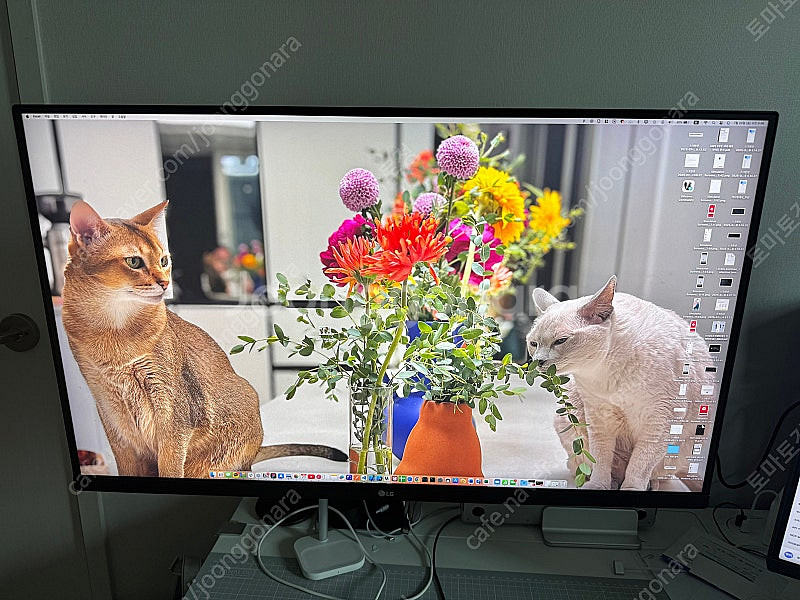 LG 울트라파인 32UN880 32인치 4K 모니터( ...--0