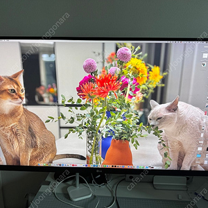 LG 울트라파인 32UN880 32인치 4K 모니터( 총 2대 판매)