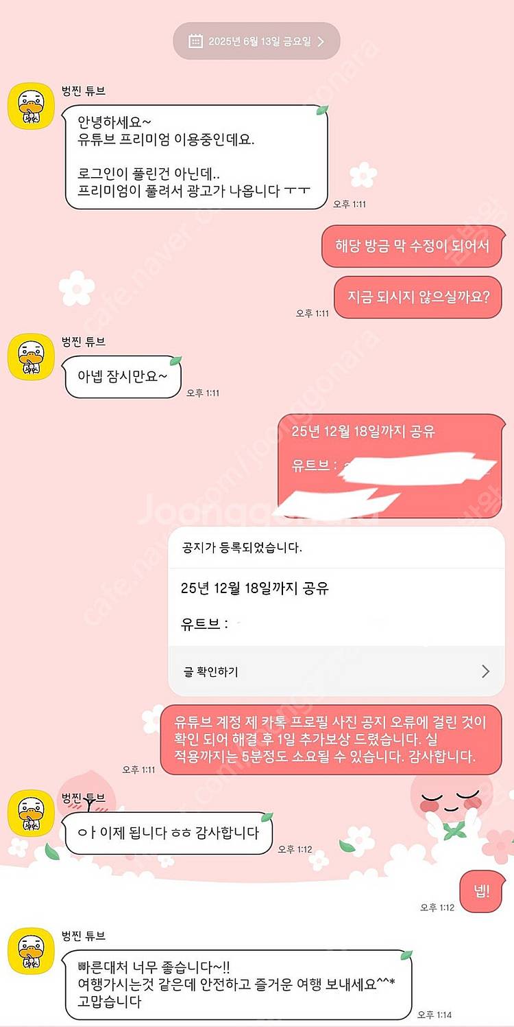 (25년 10월부로 인상 - 관리 및 소통 최상) 유튜...--6
