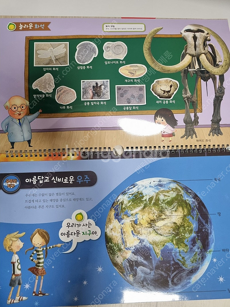 겨자씨과학동화,과학놀이책 유아책 아기책--3