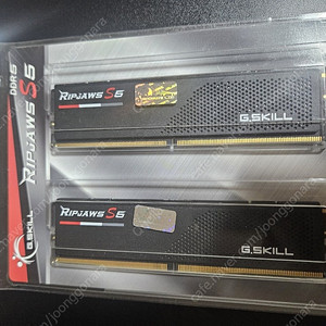 G.SKILL DDR5-6000 CL30 RIPJAWS S5 J 블 랙 32GB(16Gx2)