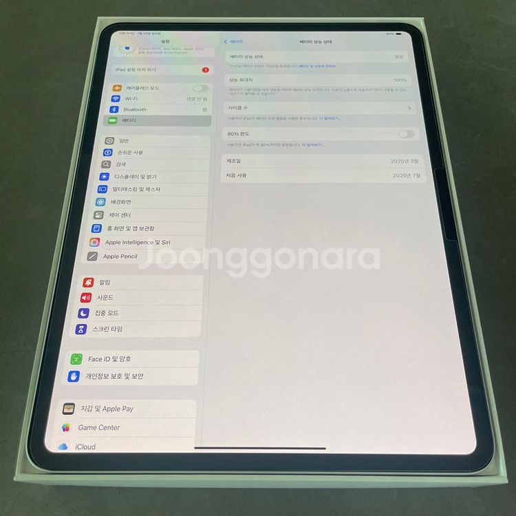 아이패드 프로 7세대 13 M4 256GB 와이파이 풀...--1