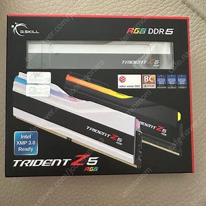G.SKILL DDR5-6400 CL32 TRIDENT Z5 RGB 화이트 패키지