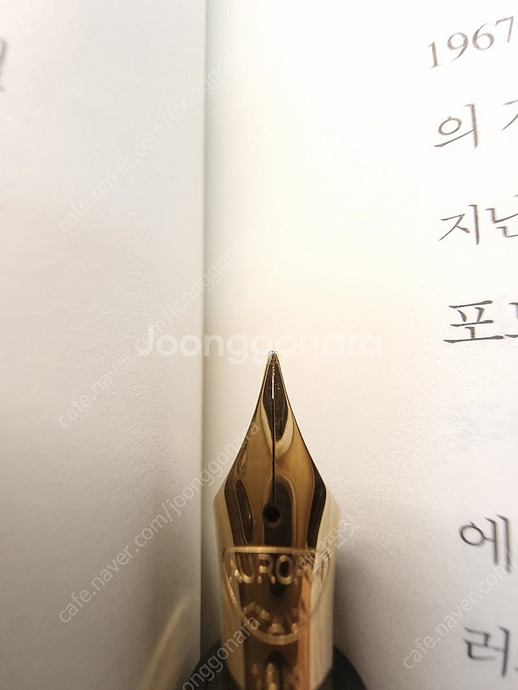 만년필 오로라 인터나지오날 그린 F 팝니다.--5