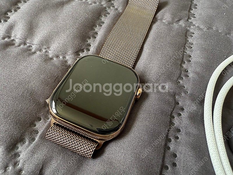 포항 대구 애플워치10 46mm 티타늄골드 밀리네즈 자...--1