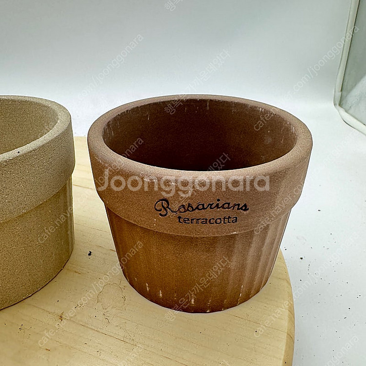 로자리안토분 3종 세트 택포--3