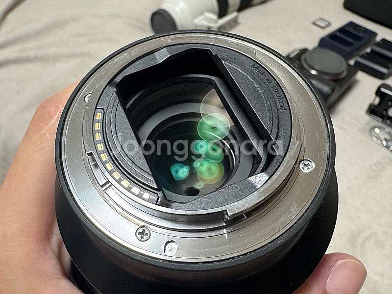 sony A7R3, 2470GM, 70200GM, 펠리...--3