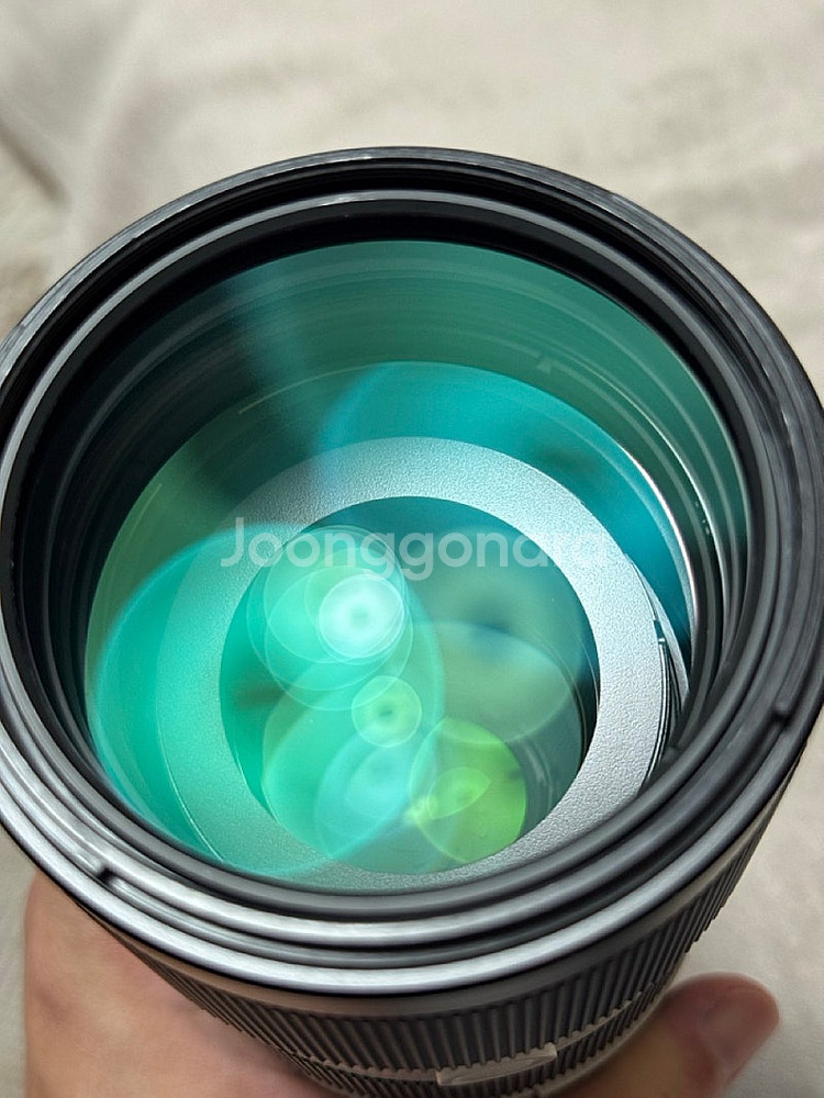 sony A7R3, 2470GM, 70200GM, 펠리...--5