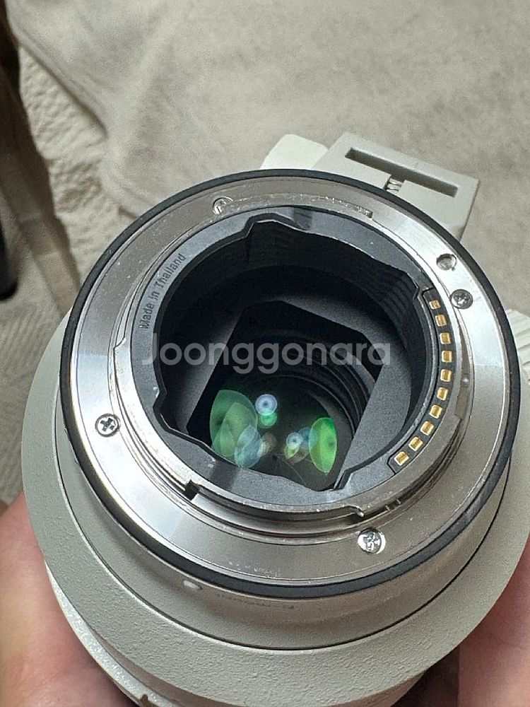 sony A7R3, 2470GM, 70200GM, 펠리...--6