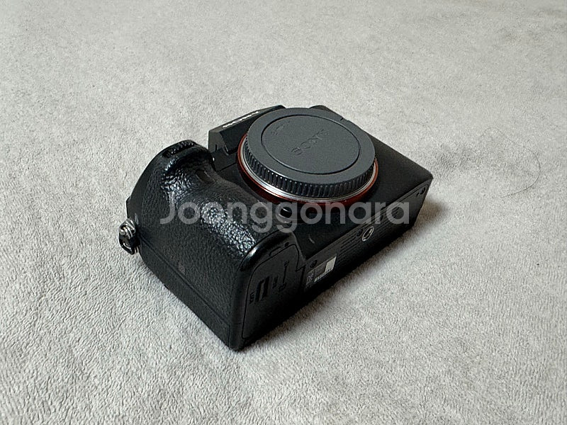 sony A7R3, 2470GM, 70200GM, 펠리...--8