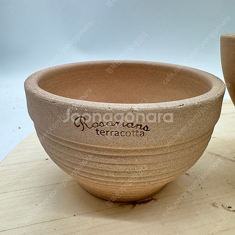 로자리안 토분 호야 화분 다육이 화분 2 종세트 택포--1