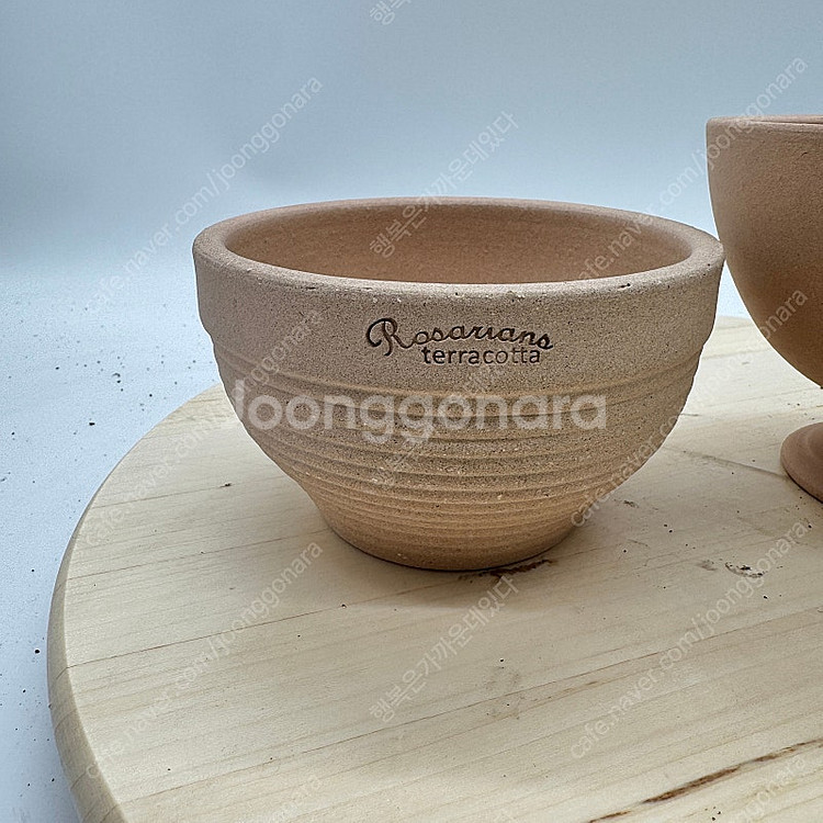 로자리안 토분 호야 화분 다육이 화분 2 종세트 택포--2