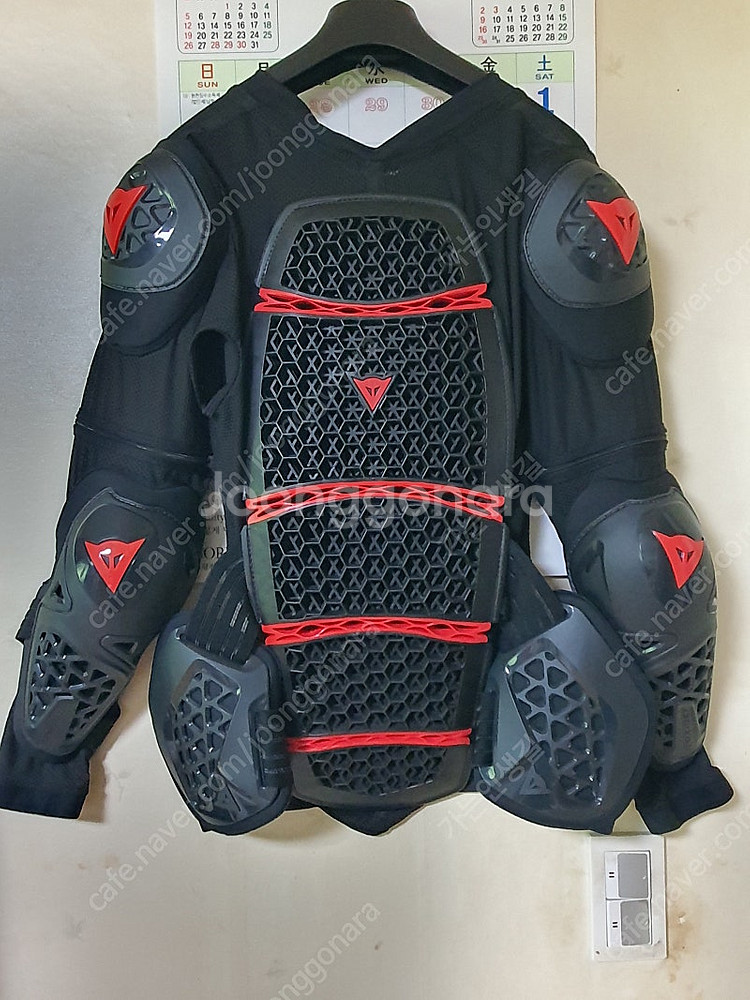 다이네즈 MX1 XL--1
