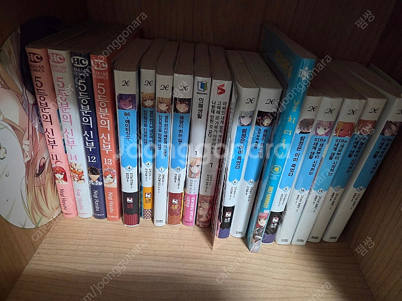 사진에 나온 라노벨 만화 일괄로 팔아봐요--1