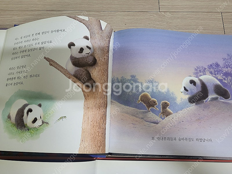 유아 영어 그림 도서와 엄마사랑 아빠사랑 동화 요미요미...--7