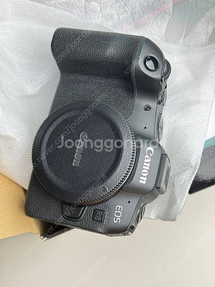 캐논 R8 , 삼양 85.4 조선만두 , R10 , 1...--5