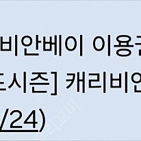 캐리비안베이 종일권