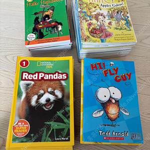 Fly guy /Fancy nancy /national geographic kids /nate the great
