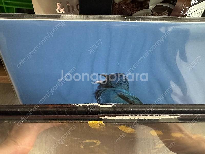 윤지영, 웅산, 검정치마, 혼네, 도시, 웨이브 투 어...--1