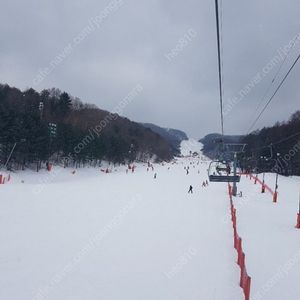 호드