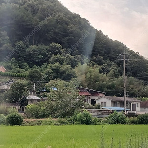 Sk데이트 2기가