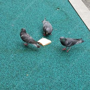 Fc서울 울산 테이블석 삽니다