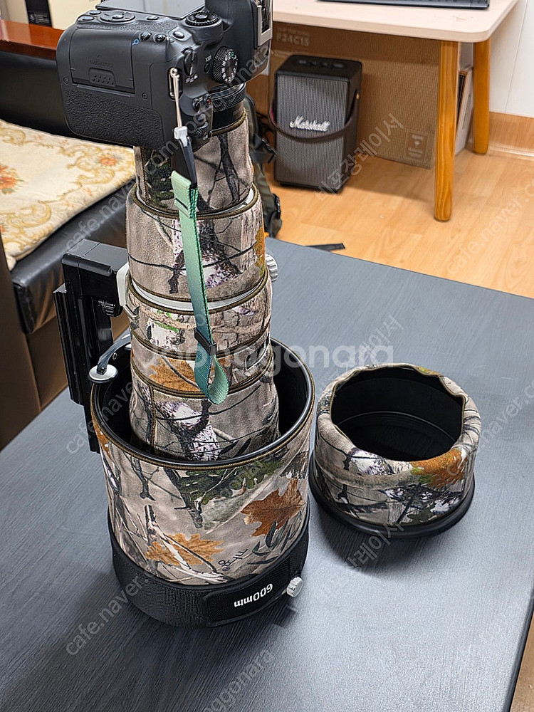 EF600MM IS2 f4 내수 외..--1