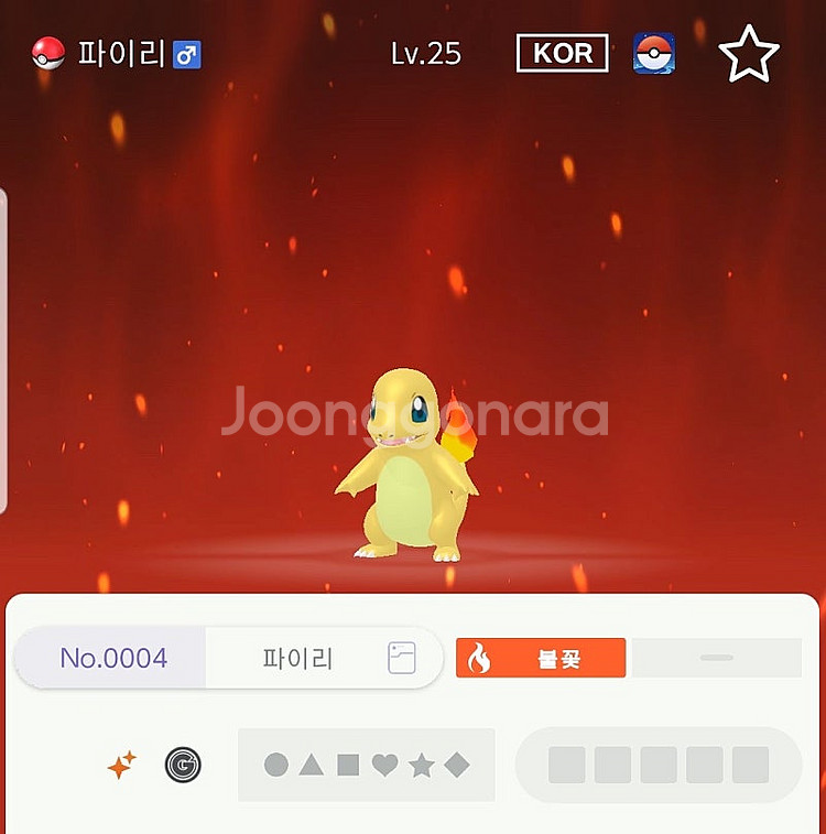 이로치 10마리 포켓몬스터 스칼렛 바이올렛--0