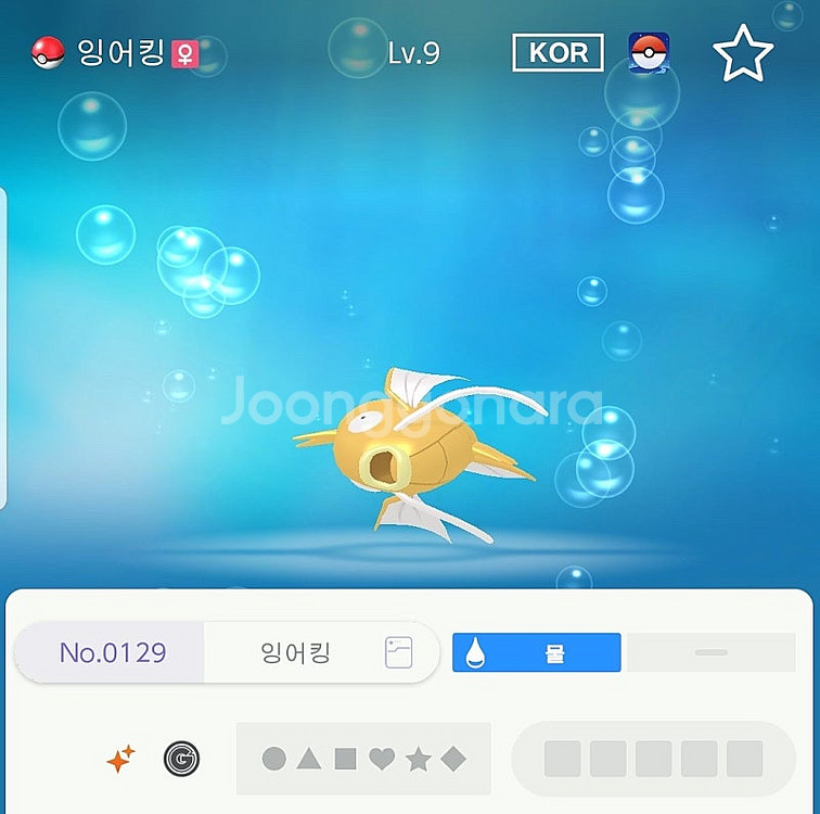 이로치 10마리 포켓몬스터 스칼렛 바이올렛--2