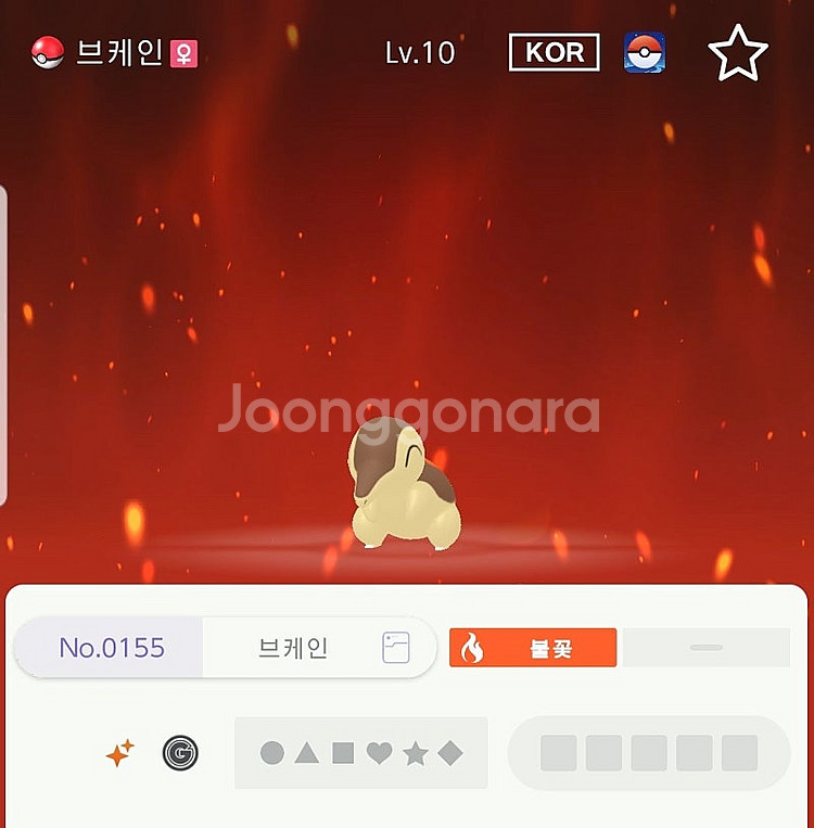 이로치 10마리 포켓몬스터 스칼렛 바이올렛--4