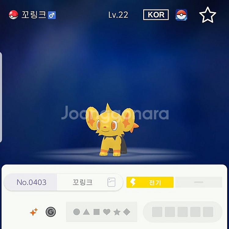 이로치 10마리 포켓몬스터 스칼렛 바이올렛--5