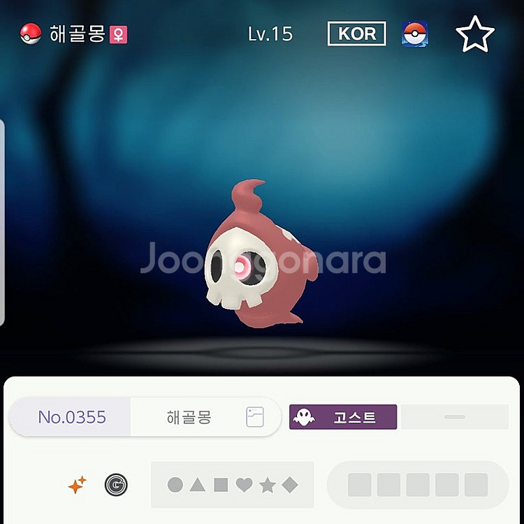 이로치 10마리 포켓몬스터 스칼렛 바이올렛--7