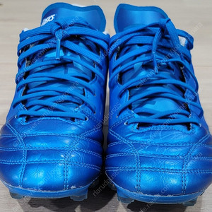 아식스 ds light 엑스플라이(x-fly)5, 260판매