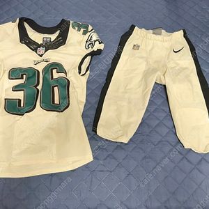 NFL 프로선수 게임 실착유니폼 philadelphia eagles (저지/팬츠)