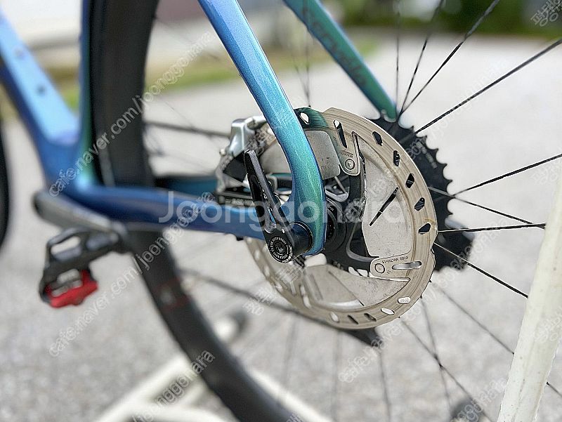 2021 Cervelo 써벨로 S5 카멜레온 / 54사...--3