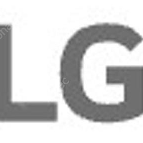 LG데이터 2G 3000원