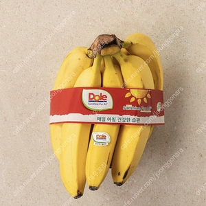 스벅 프리퀀시 미션4 일반4