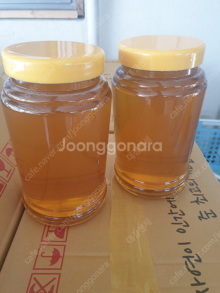 생 아카시아, 밤꿀 2.4kg 사양꿀X--2
