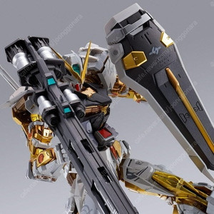 메탈빌드 골드프레임