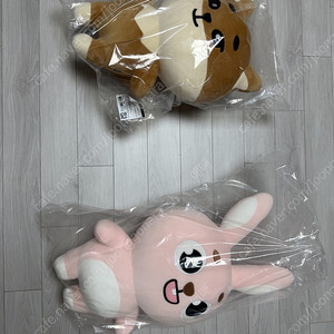 데이식스 자이언트 데니멀즈 필끼