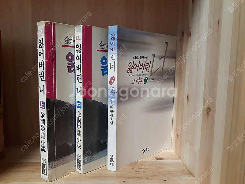 잃어버린 너 전 3권--0