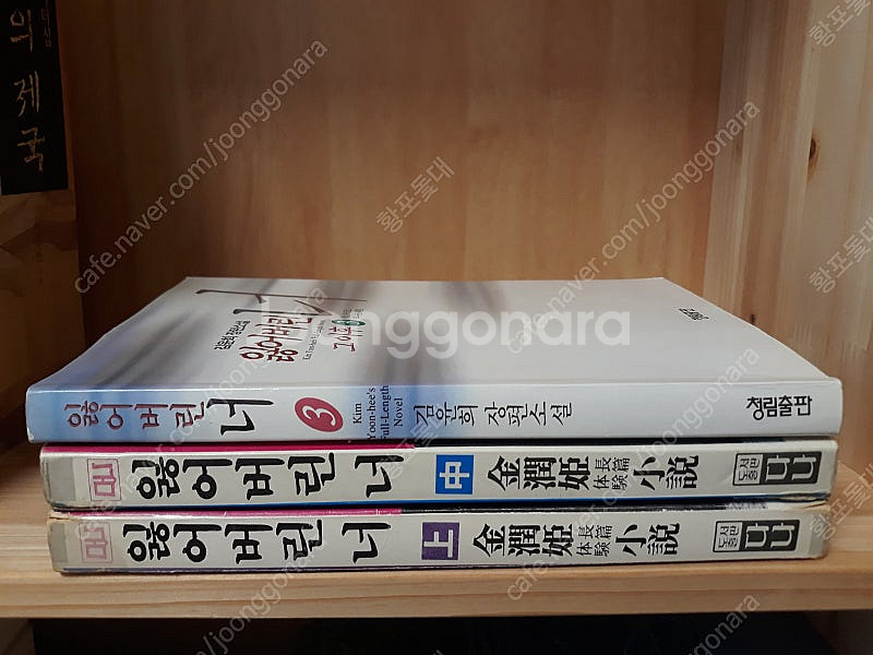 잃어버린 너 전 3권--3
