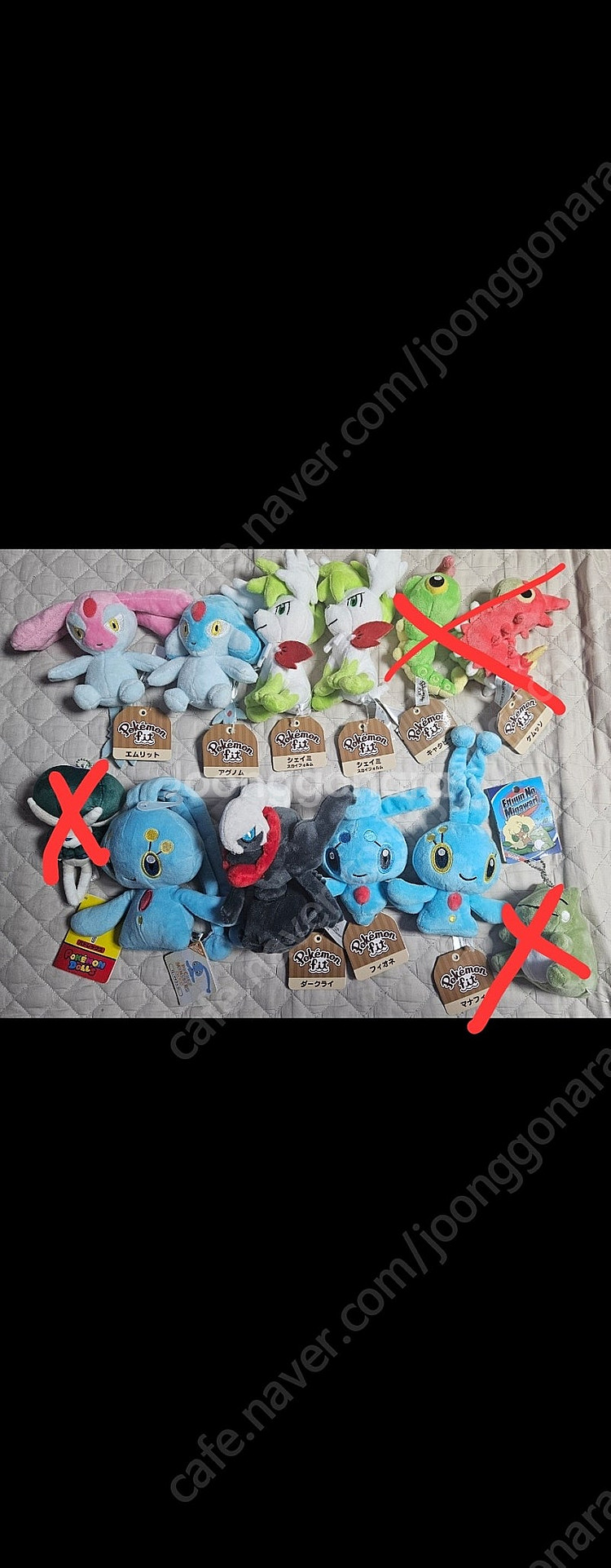 업데이트 소장품정리) 포켓몬센터 정품 새제품 인형 균일가 5천원부터~ 전설포켓몬 귀여운 포켓몬 전부 모음--1